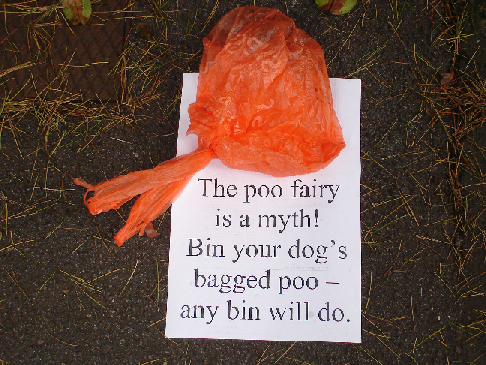 Poo fairy myth